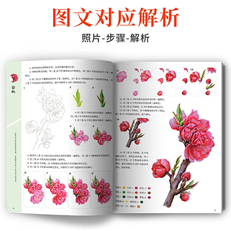 A course of practical color le - Food Y Snacks Coloring Book ulasan dan harga