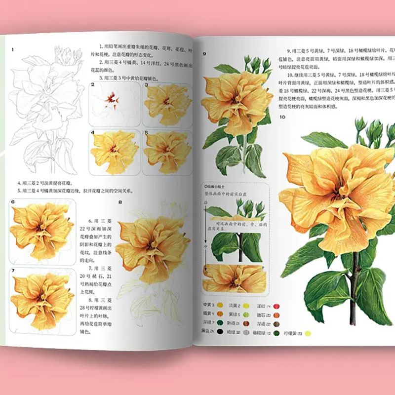A course of practical color le - Food Y Snacks Coloring Book ulasan dan harga
