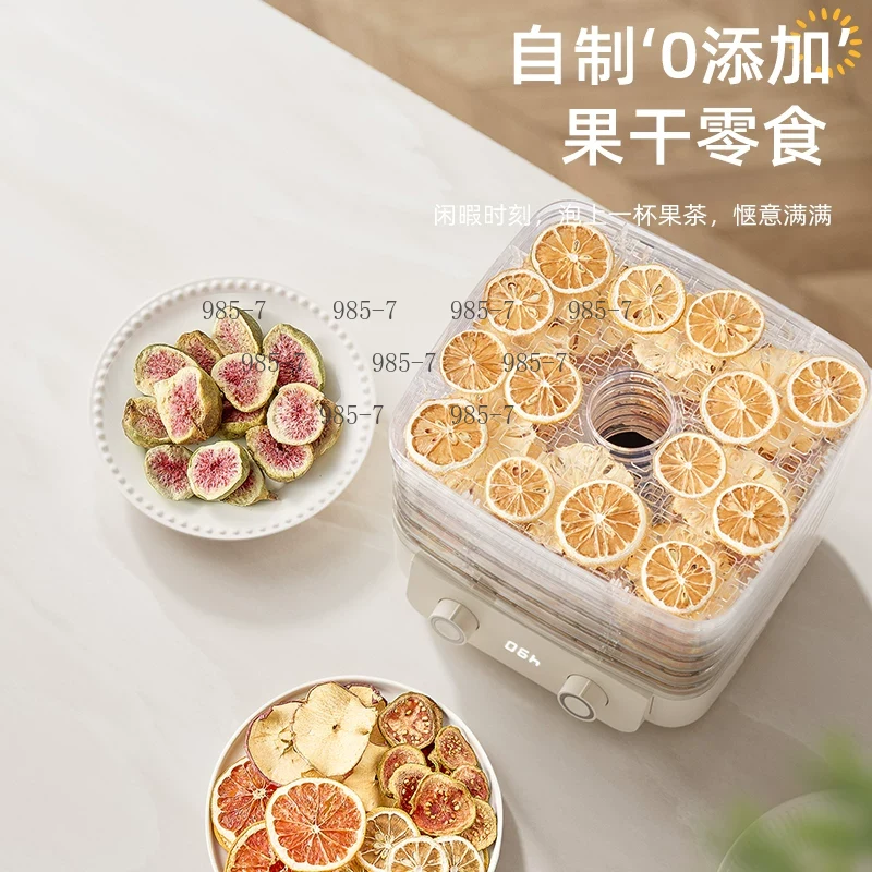 5-Tier Food Dryer, Homemade Sn - Food Dehydrator Snacks ulasan dan harga